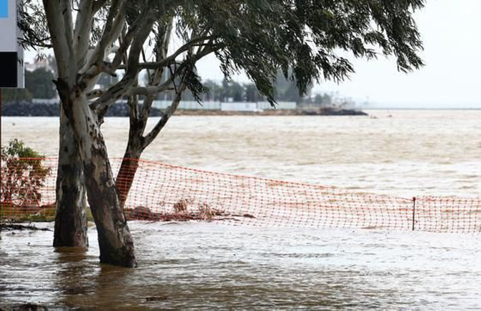La crecida de los ríos provoca numerosas inundaciones en Huelva. / Reportaje fotográfico de Correa y Espinosa.