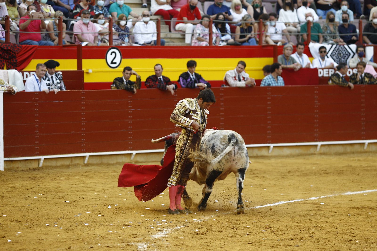 Fotogalería corrida de toros. Cayetano Rivera, Paco Ureña y Roca Rey. Roquetas de Mar.