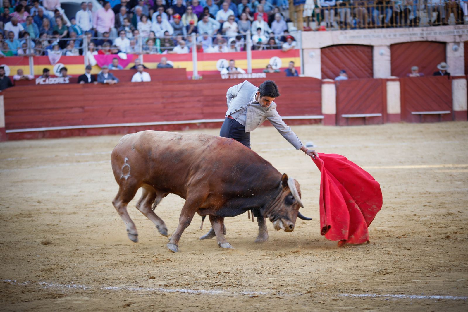 Imágenes del festival mixto lucha contra el cáncer