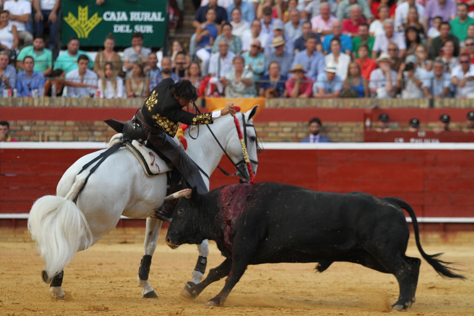 Festejo de Rejones en el coso de La Merced por Colombinas.
