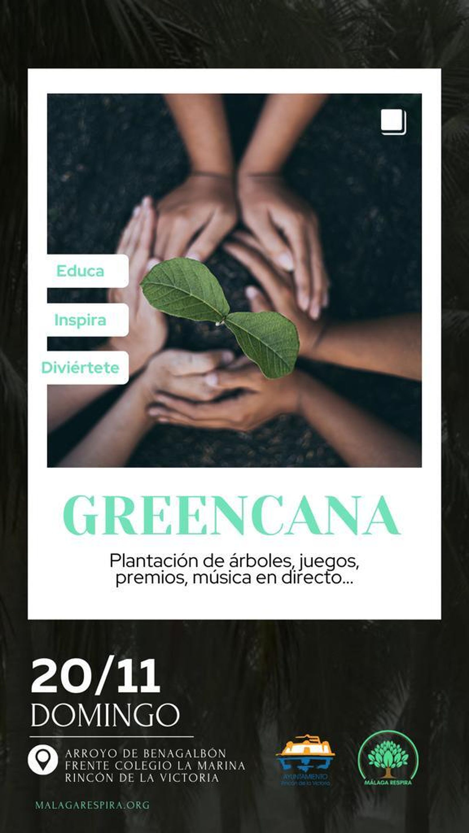 Rincón organiza una Greencana Sostenible con la plantación de un centenar de árboles