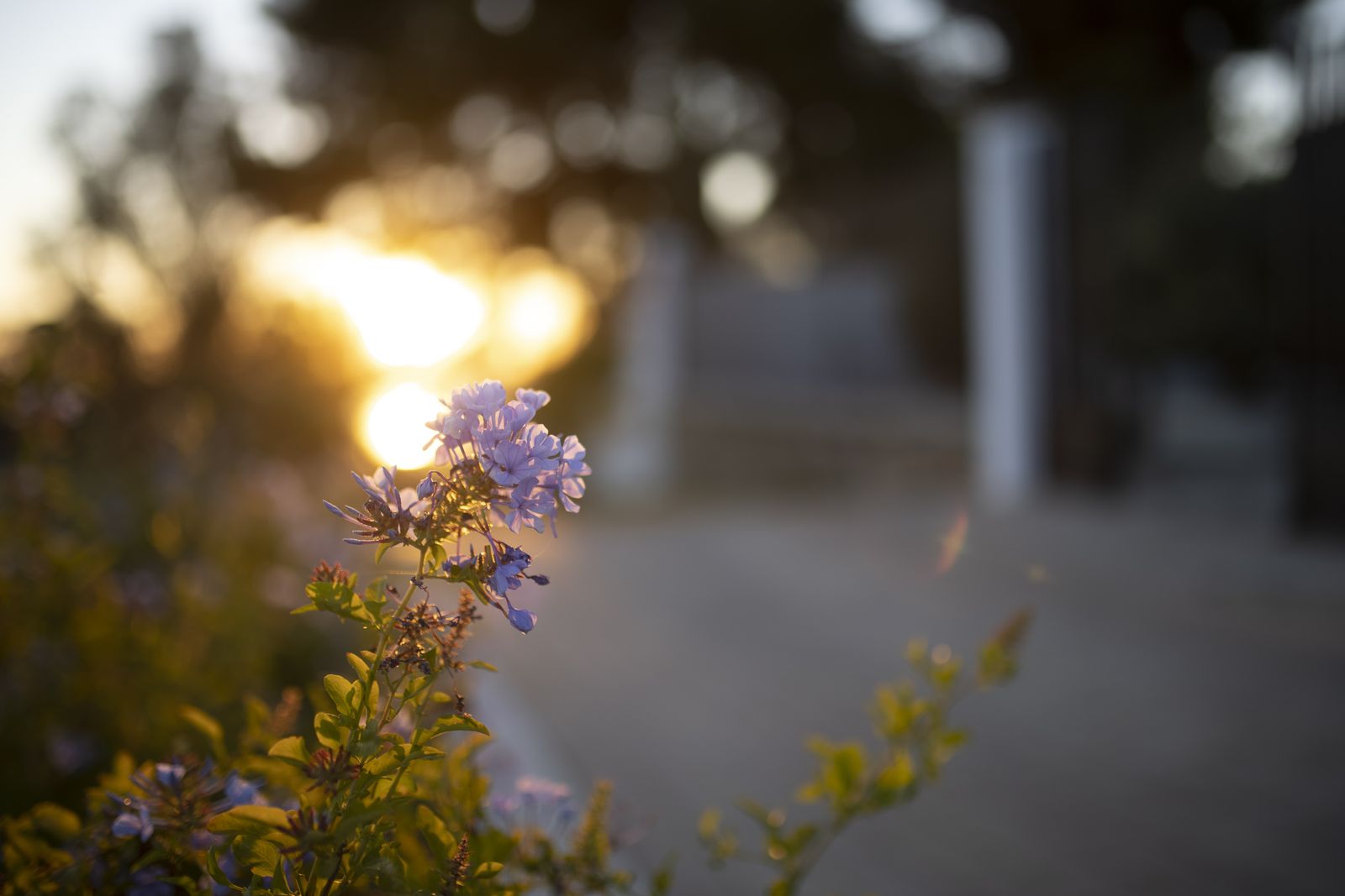 La última puesta de sol para despedir el año en Huelva