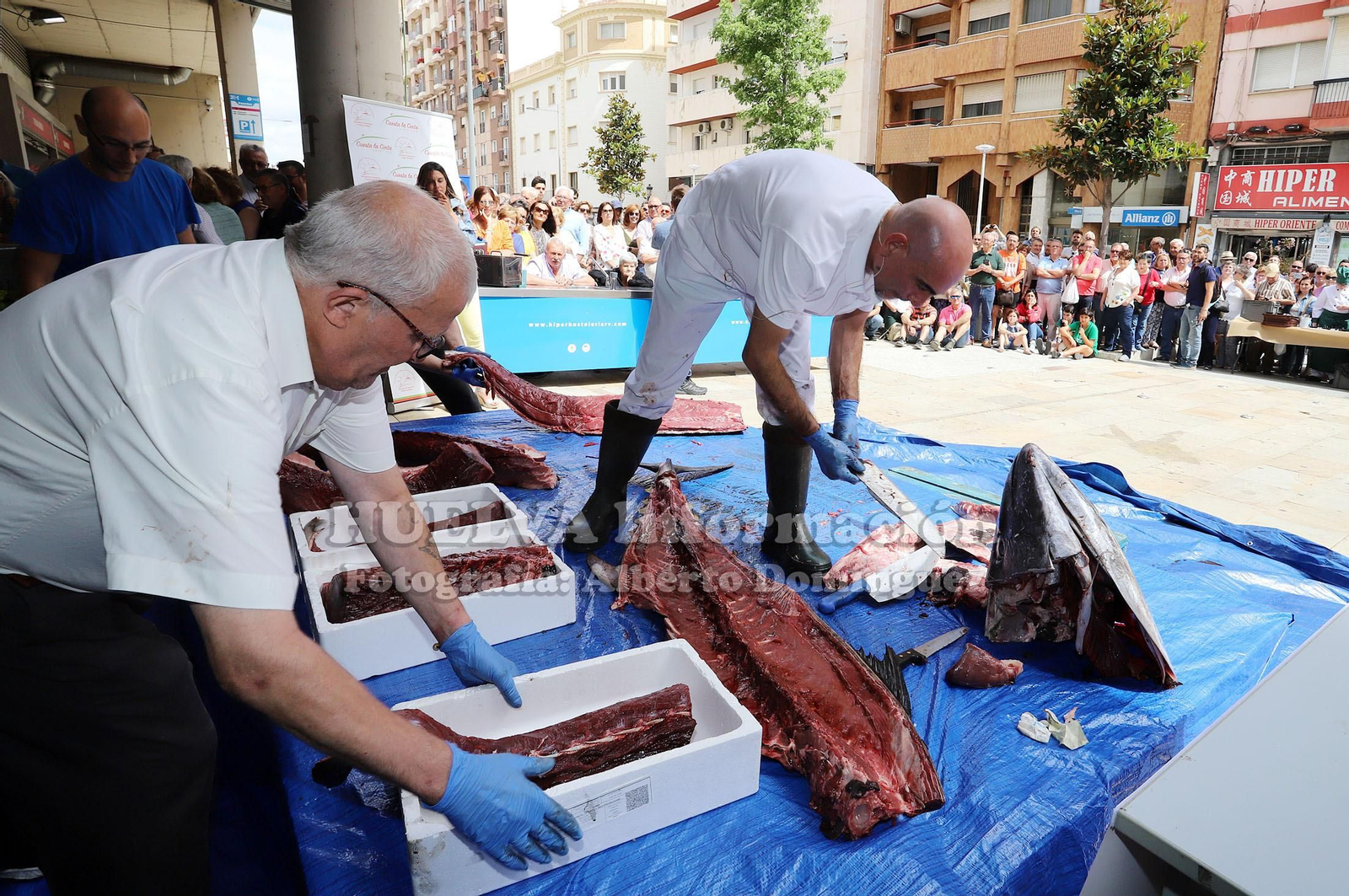 Imágenes del Ronqueo del Atún en el mercado de Huelva