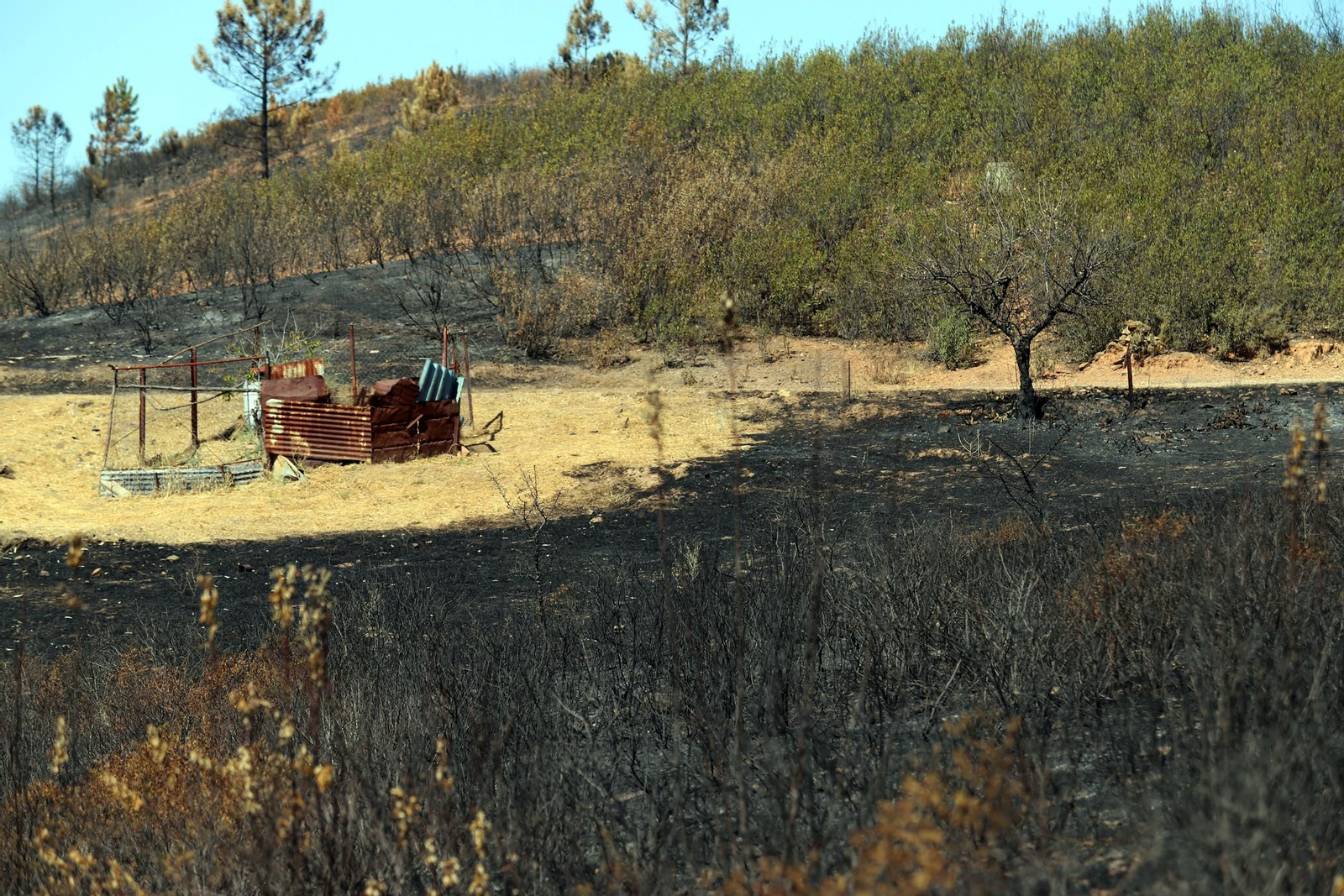 Imágenes de las zonas devastadas por el incendio de Almonaster la Real
