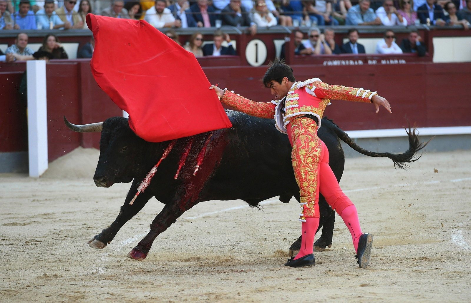 Un pase de pecho de Domingo López Chaves en la plaza de toros de Las Ventas en 2019