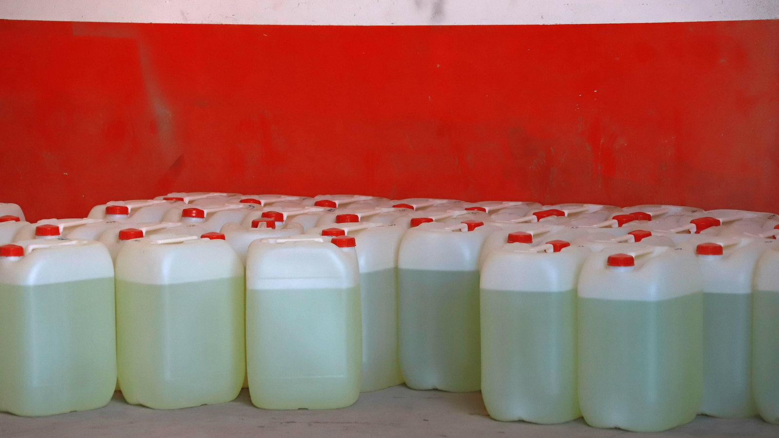 Las mejores fotos de la Operación Hélice en el Campo de Gibraltar