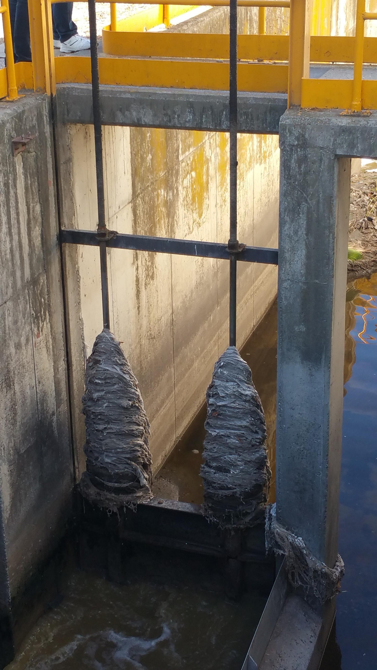 Elmonstruo de las alcantarillas