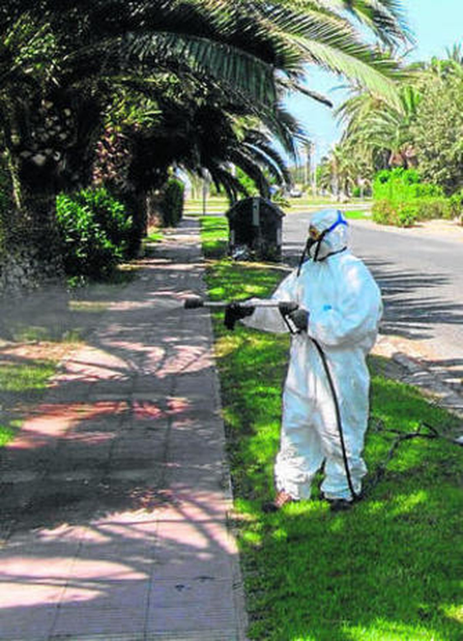 Tareas de tratamiento.