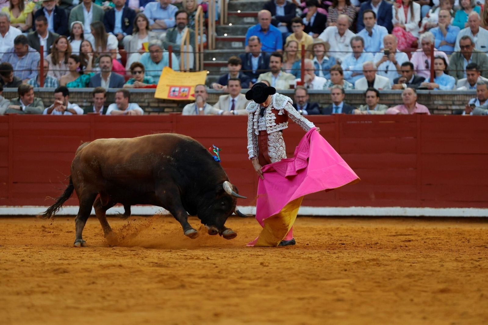 Las mejores fotos de la corrida de Morante, Ortega y Roca Rey en la Feria Taurina de Córdoba