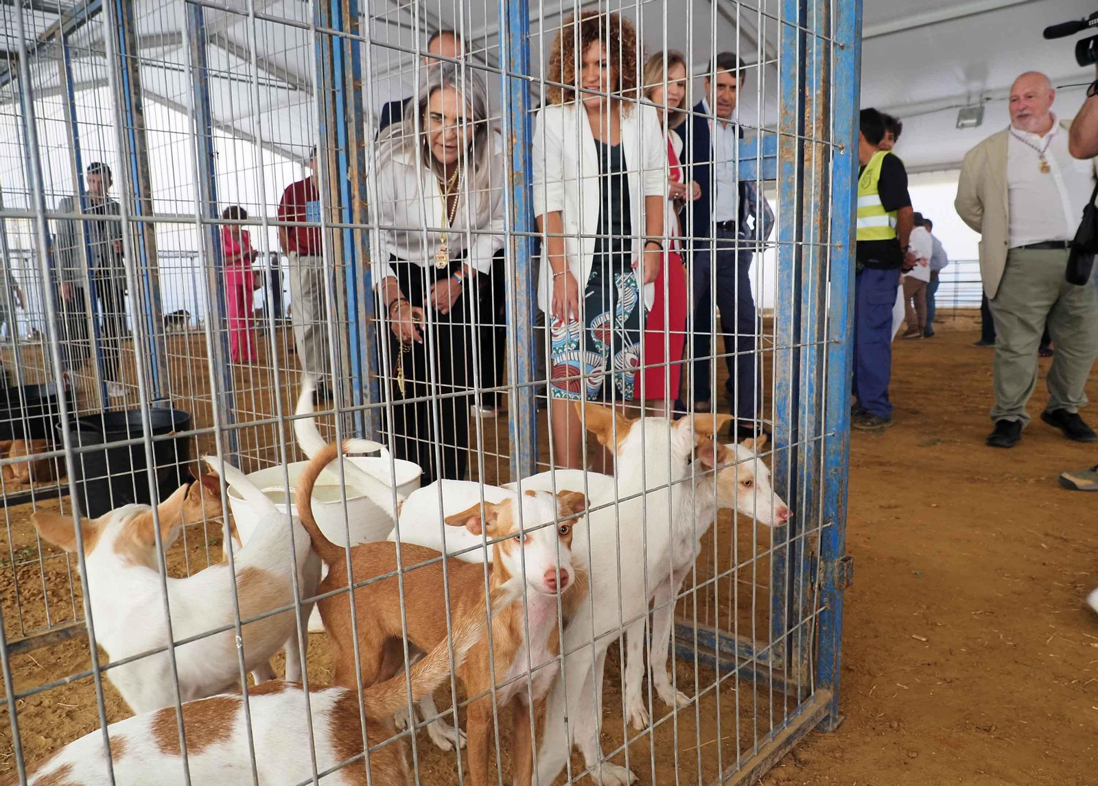 Imágenes del inicio de la Feria de Octubre en Cartaya