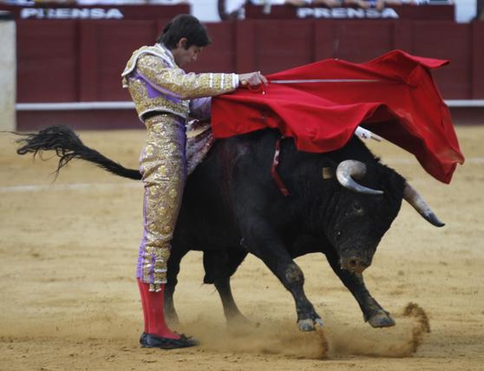 Foto: Sergio Camacho