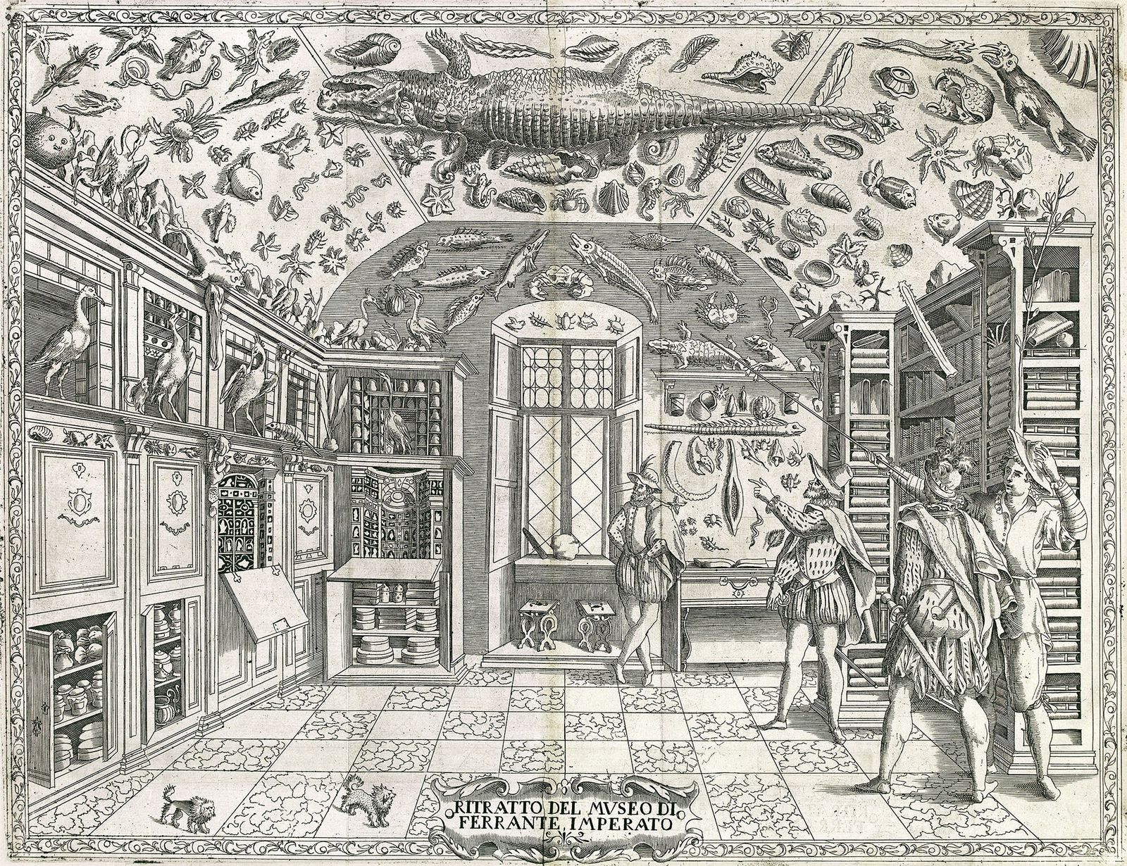 Grabado del gabinete de curiosidades de Ferrante Imperato (Nápoles, 1599).