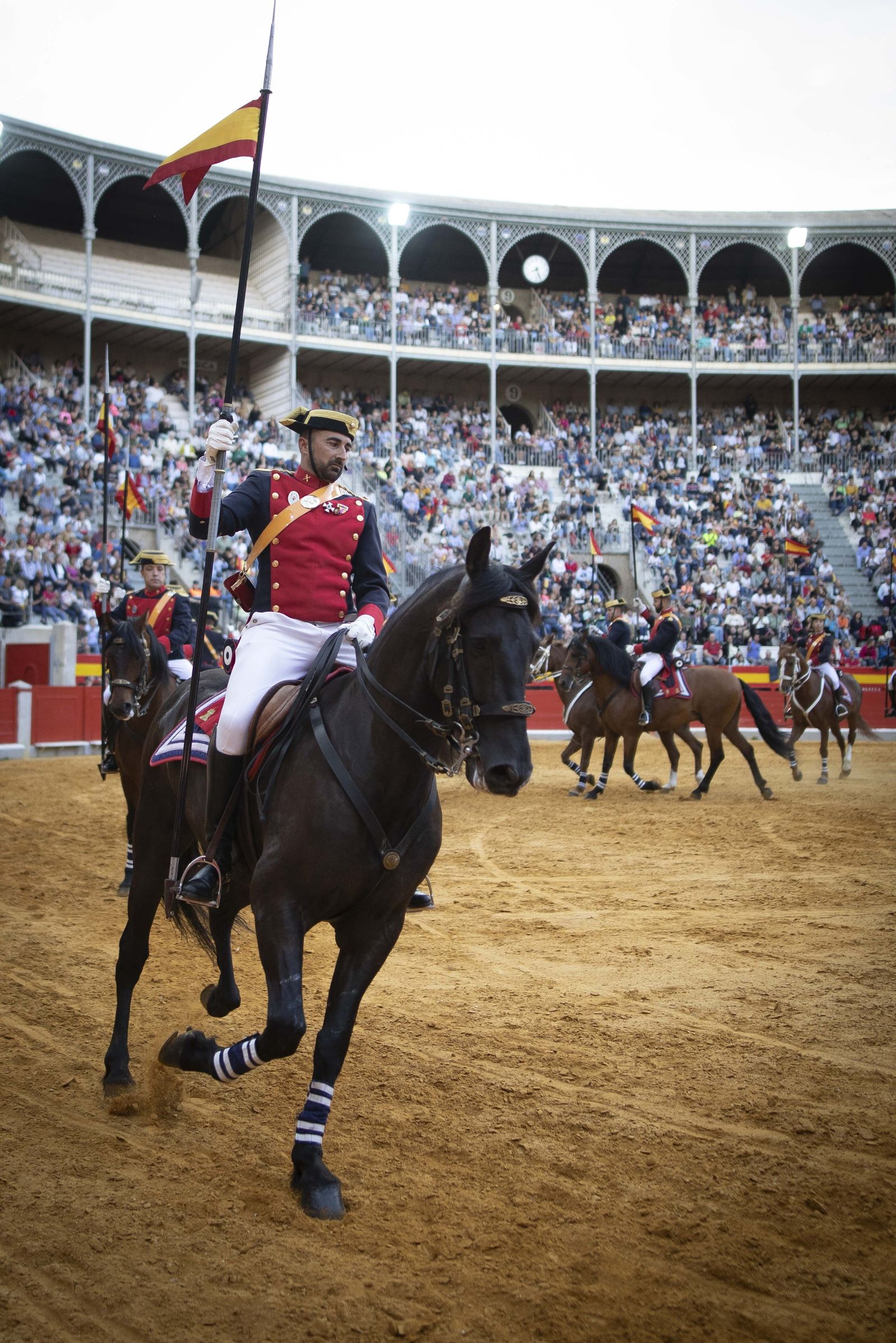 La exhibición del Ejército en la Plaza de Toros de Granada, en imágenes