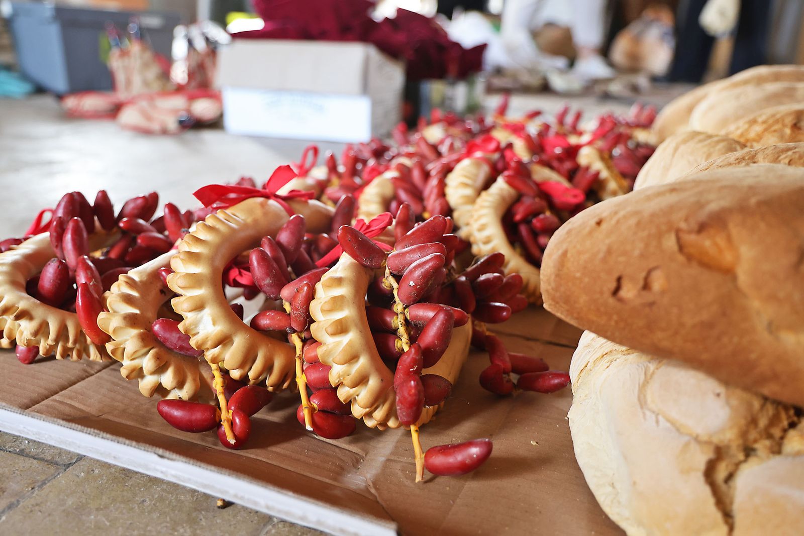 Las mejores fotografías de las Tiradas a San Antonio Abad en Trigueros