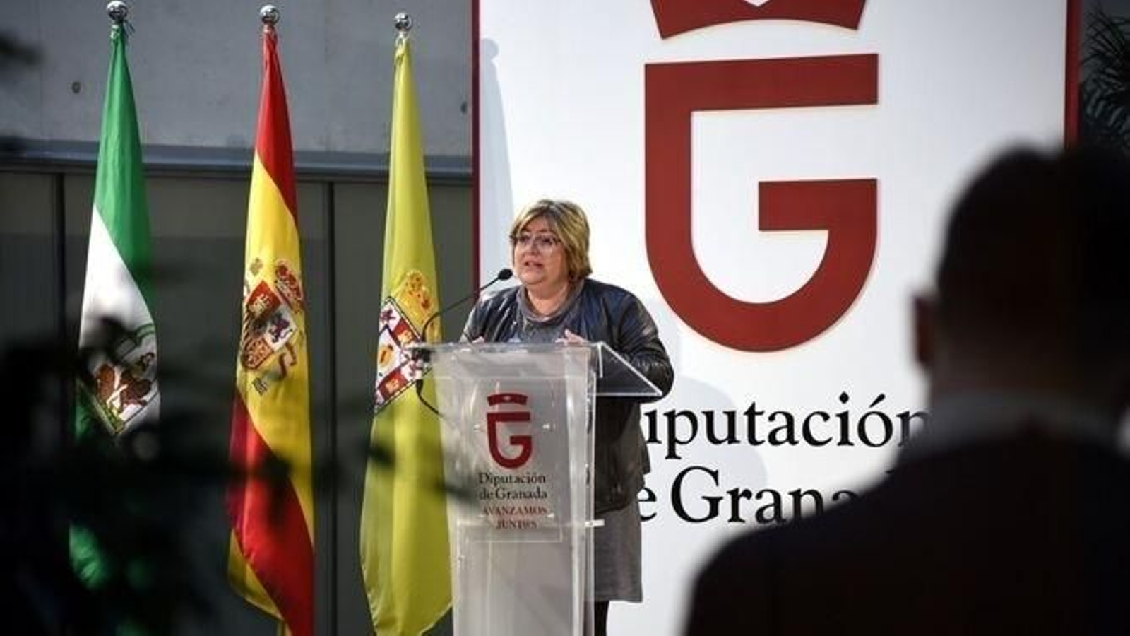 Consorcio europeo elige a la Diputación de Granada como referente del Pacto Verde Consorcio europeo elige a la Diputación de Granada como referente del Pacto Verde