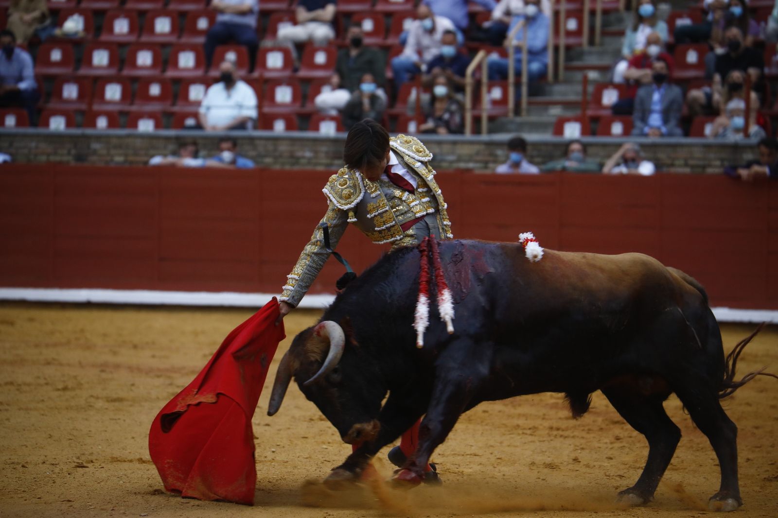 Las fotografías de la novillada con picadores de la Feria Taurina de Córdoba