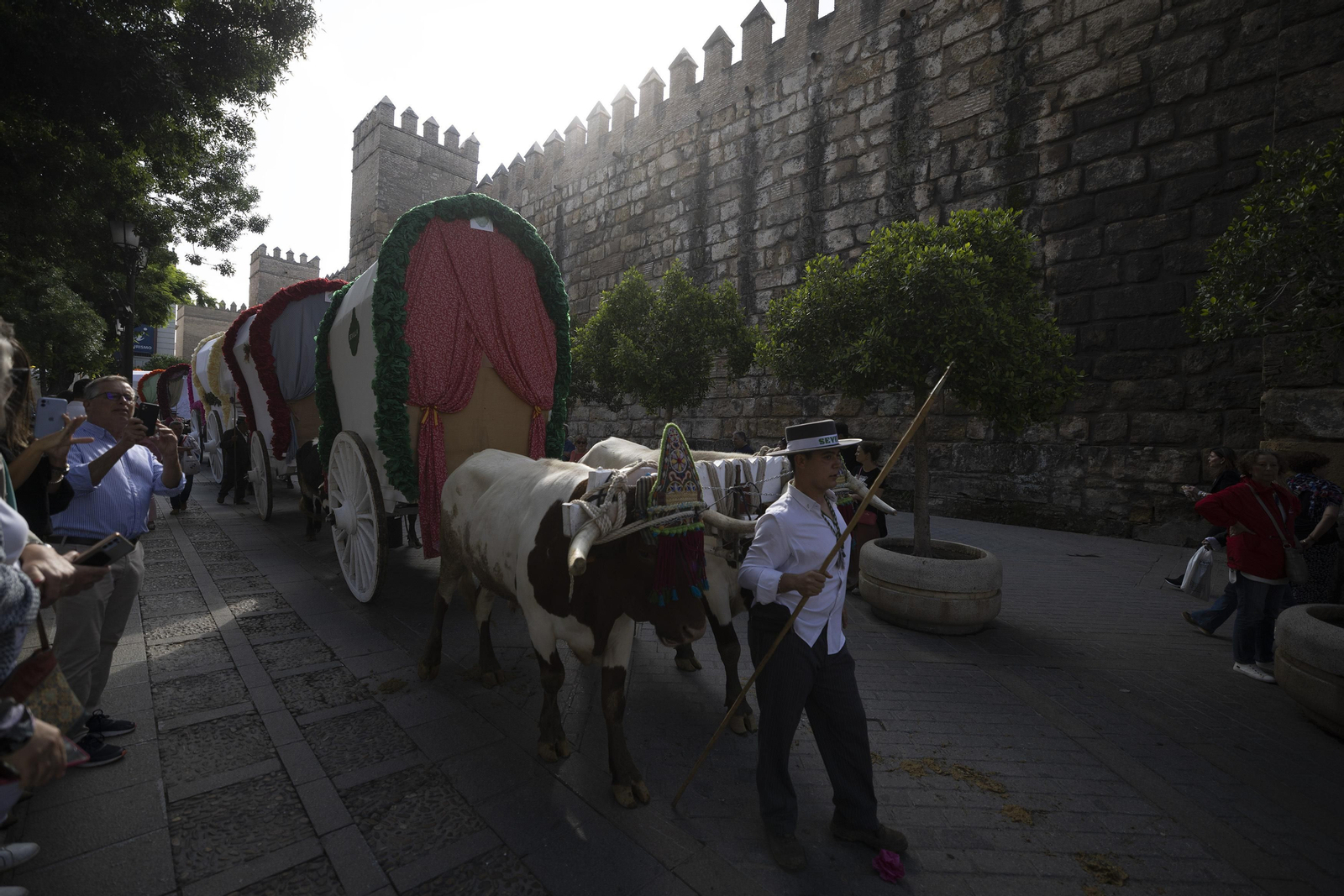 Las imágenes de la salida de la Hermandad del Rocío de Sevilla