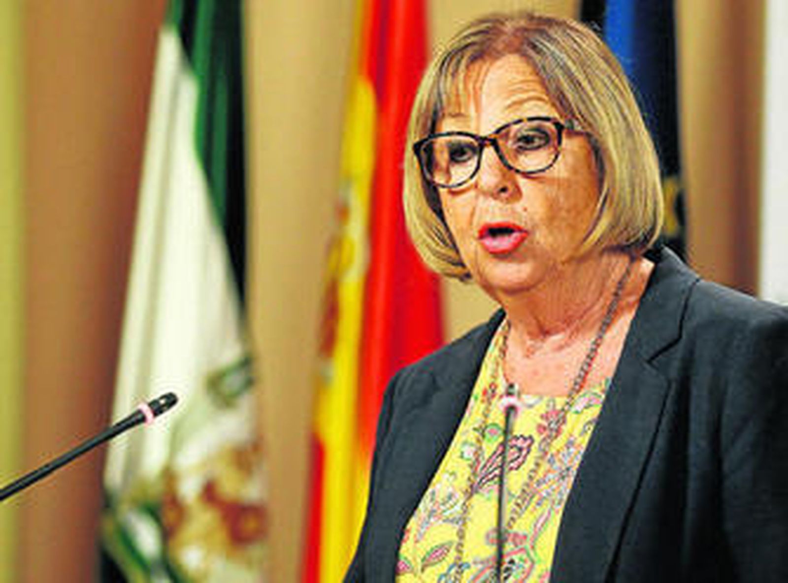 Adelaida de la Calle, ayer en su comparecencia posterior al Consejo de Gobierno en San Telmo.