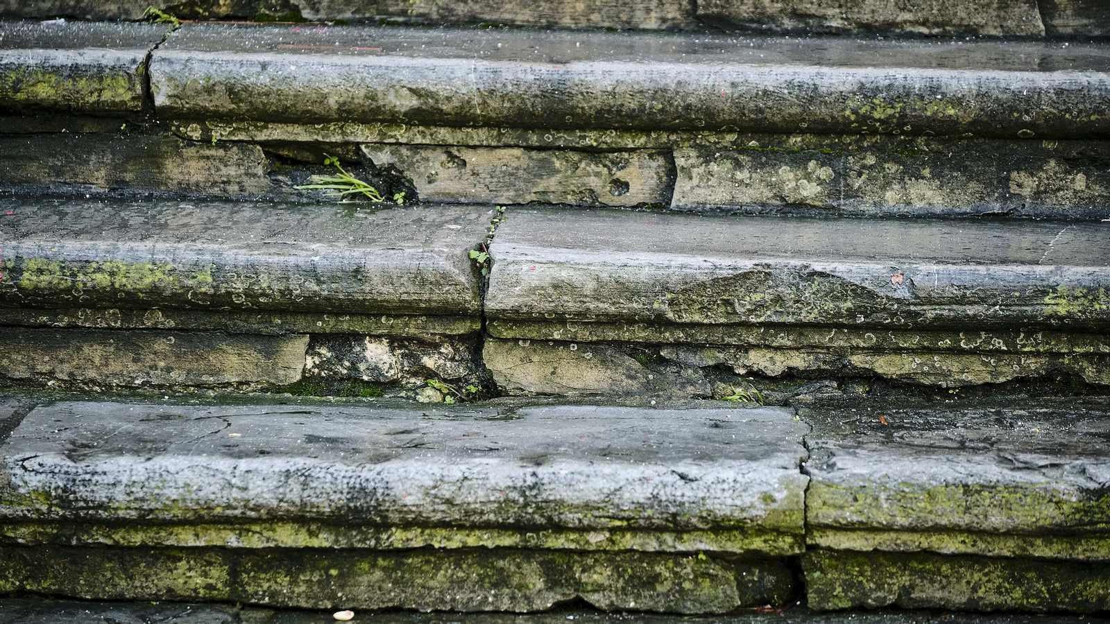 Estado del pavimento en plaza de la Catedral