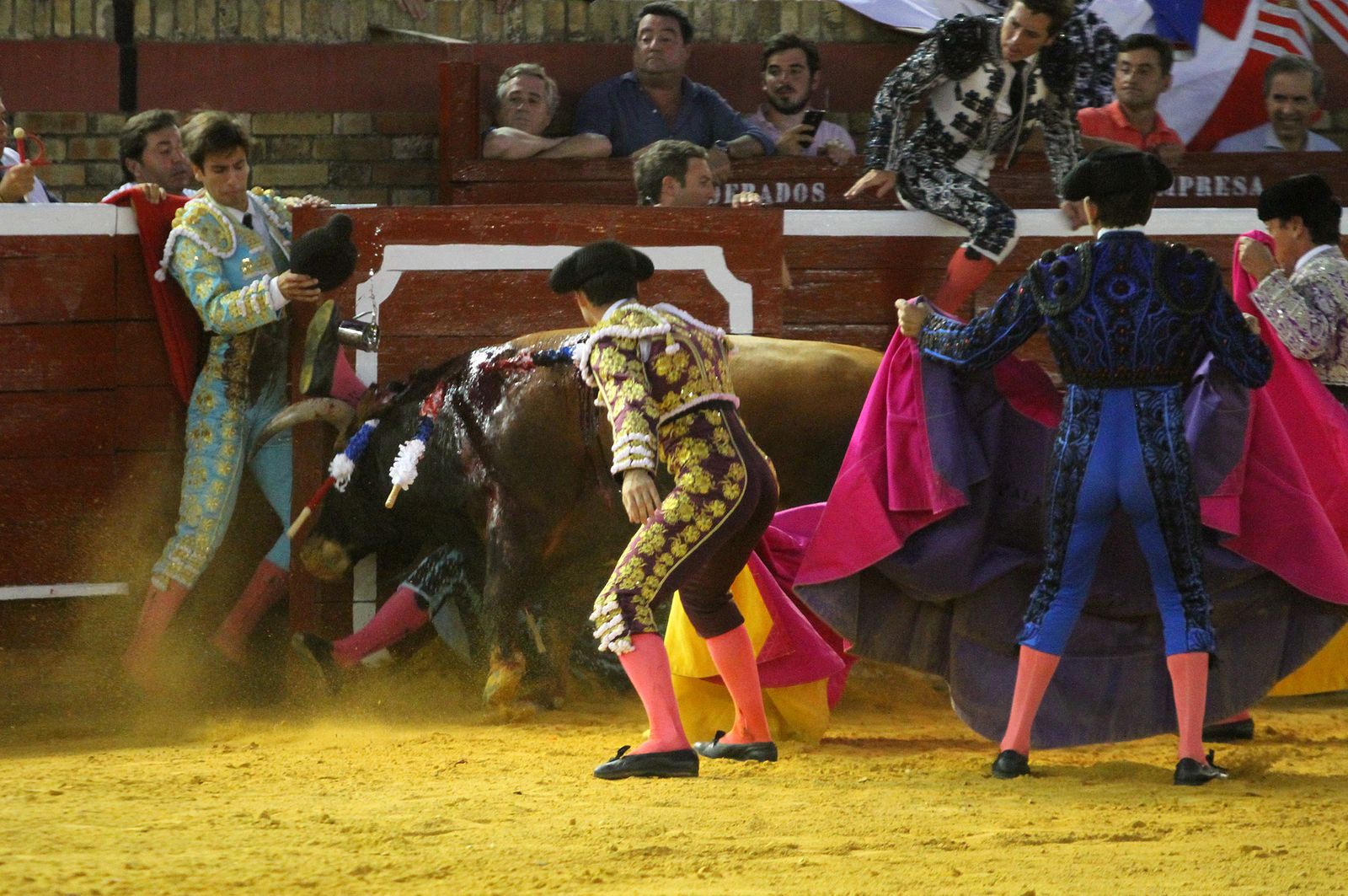 Imágenes de la Novillada de Rafael Serna, Emilio Silvera y Rodrigo Molina.