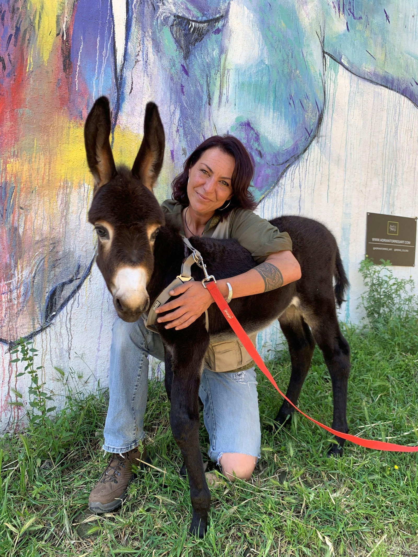 Amaia Isert, la fundadora del refugio. Amaia Isert, la fundadora del refugio.