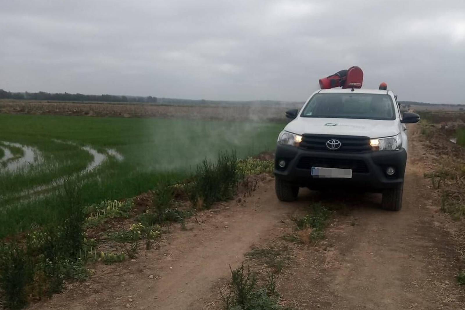 Tratamiento contra los mosquitos.