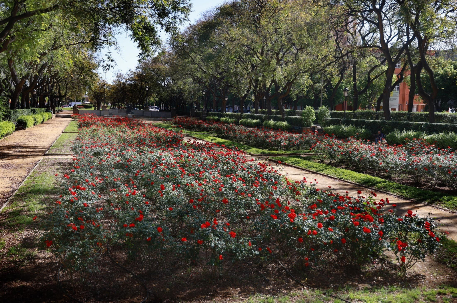 Imágenes del sábado 13 de abril en Huelva