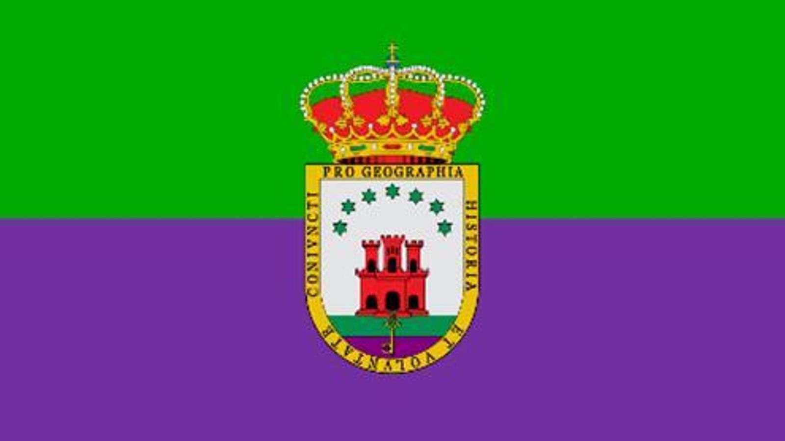 Bandera y escudo comarcal.