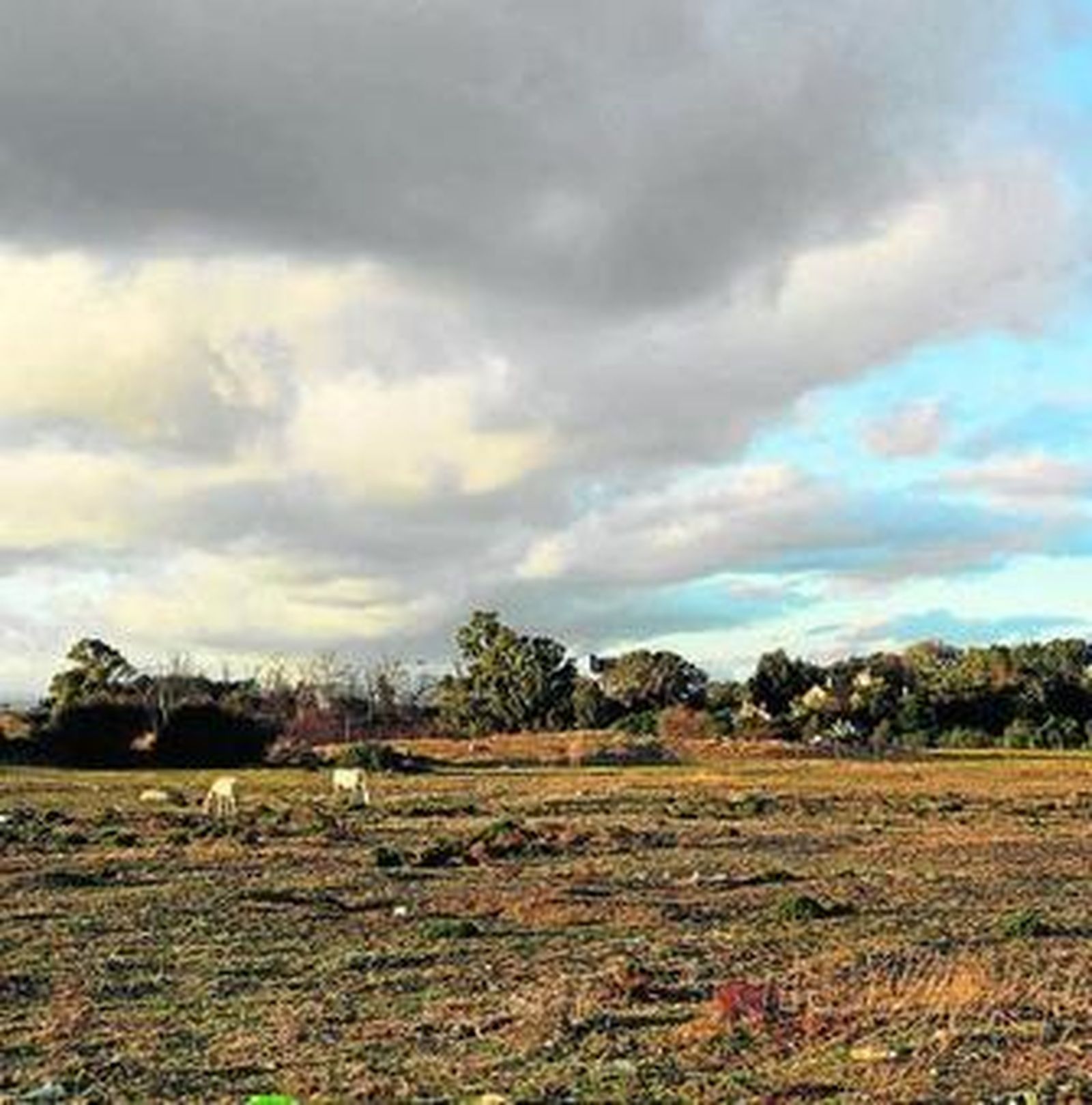 Suelos del sector La Cizaña, en la frontera con Torremolinos.