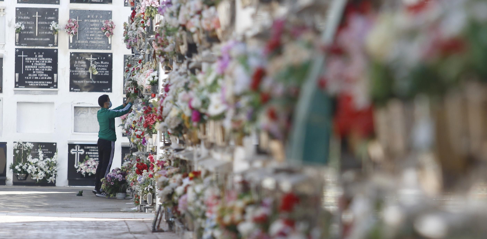 las fotos del día de Todos los Santos