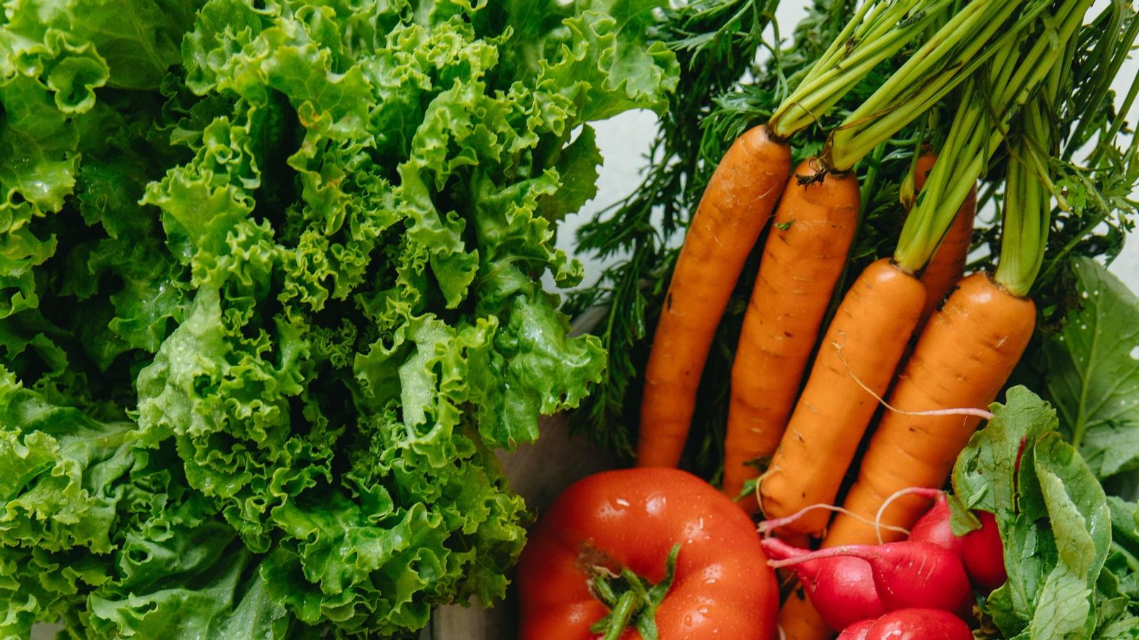 Verduras y hortalizas