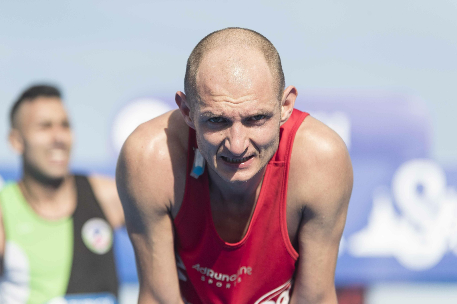 ¿Has hecho el Maratón de Sevilla 2019? Búscate en nuestra galería de fotos