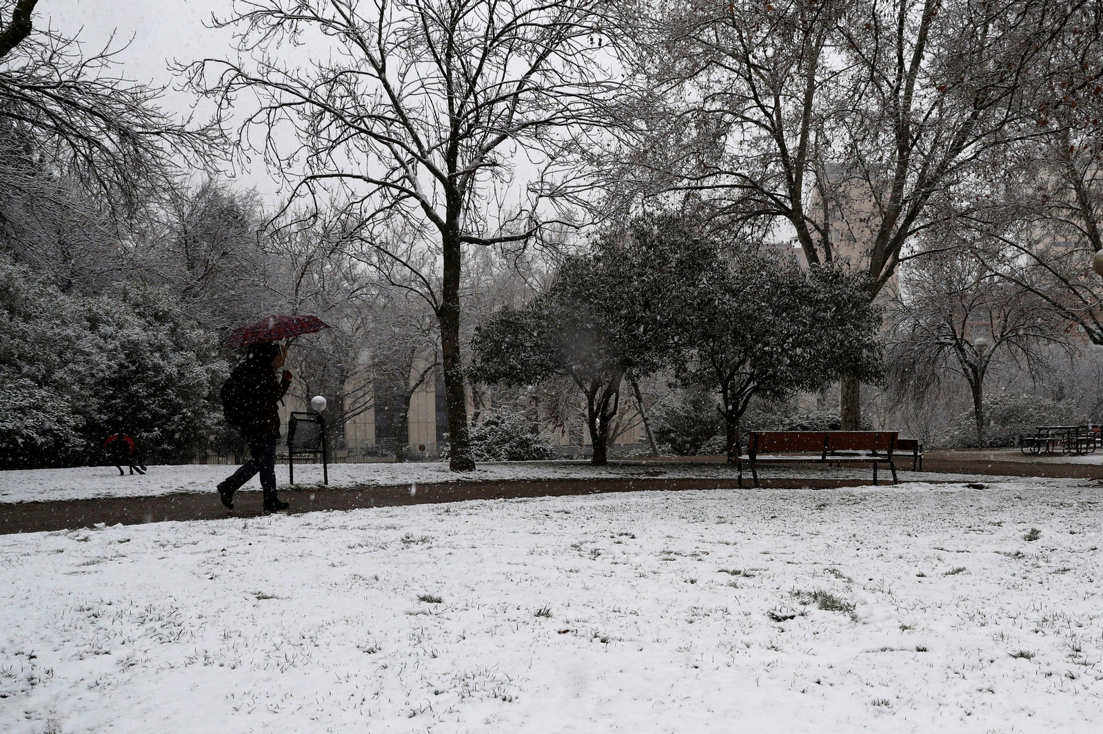 Las imágenes blancas que ha dejado la nieve en toda España