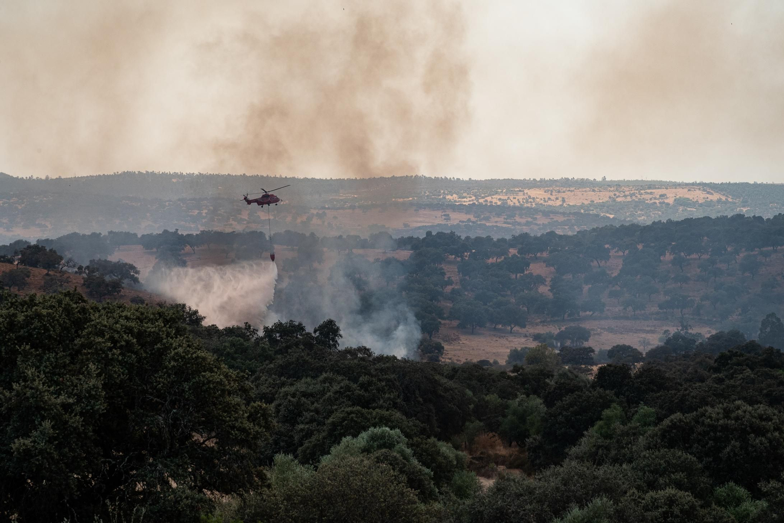 Imágenes del corte de la A-478