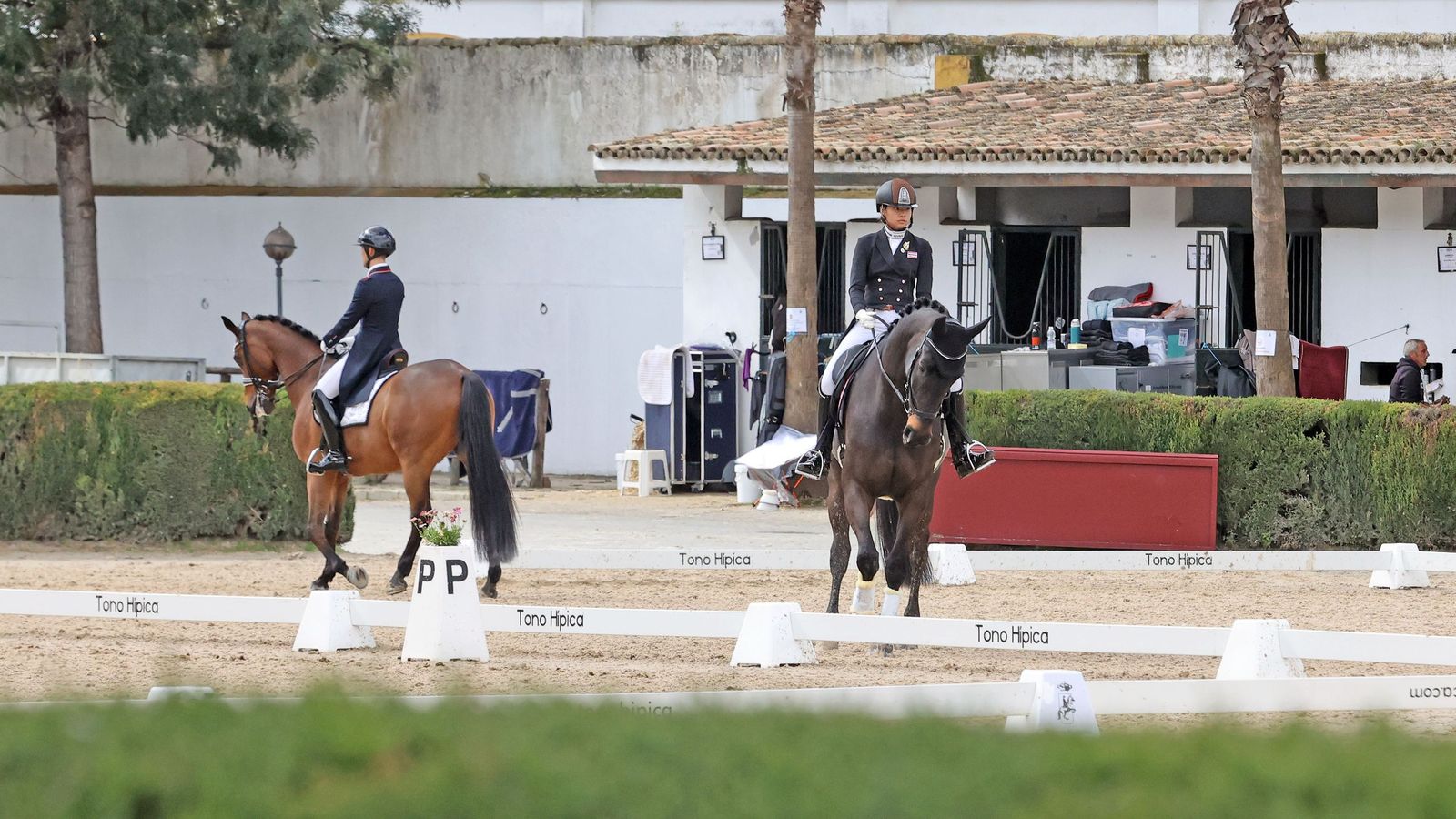 Concurso Internacional de Doma Clásica en La Real Escuela de Jerez