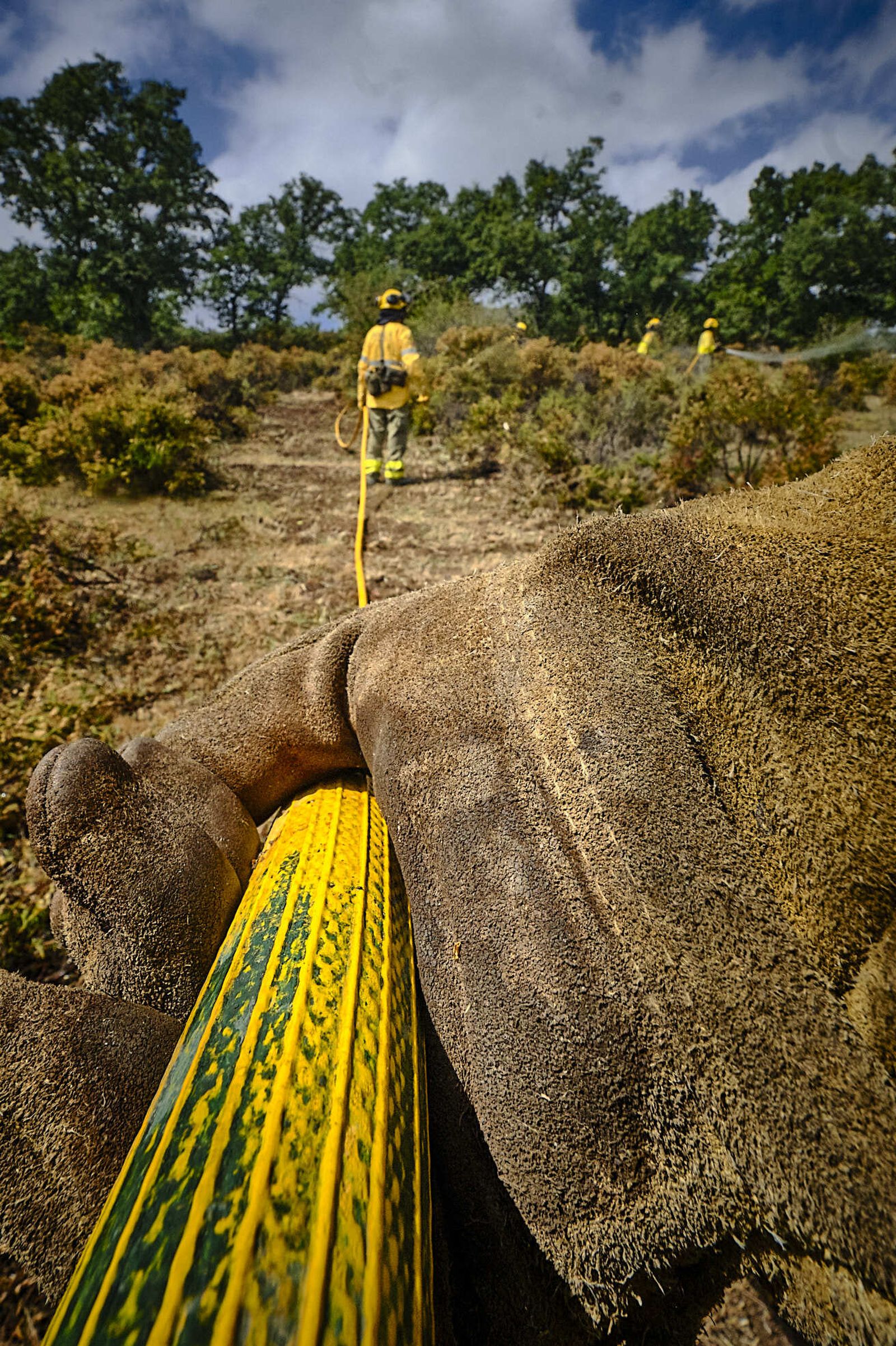 Simulacro de incendio del CEDEFO de Algodonales.