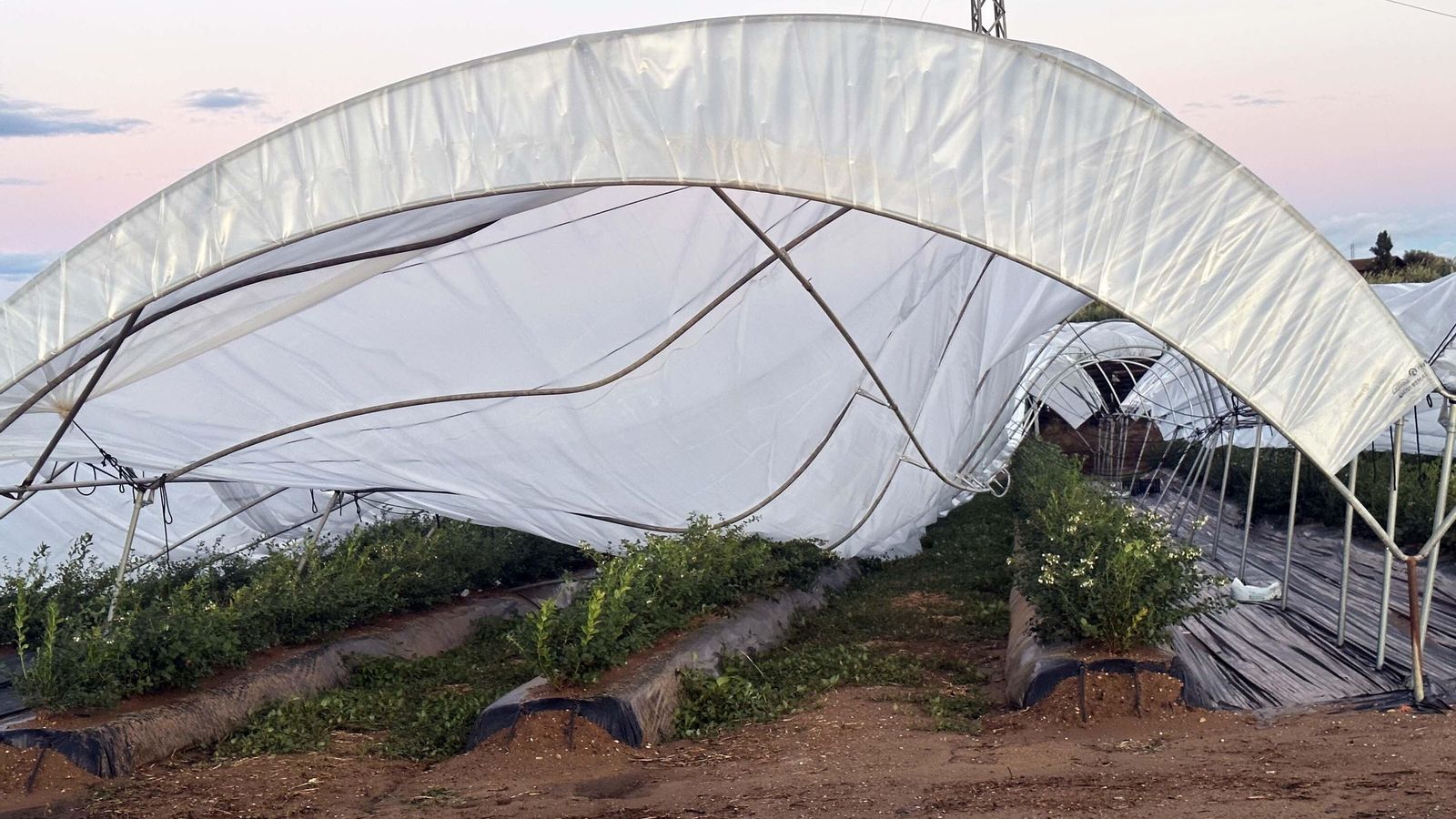 Hierros retorcidos, plásticos arrancados y daños en las plantas, han sido las principales consecuencias del fuerte viento