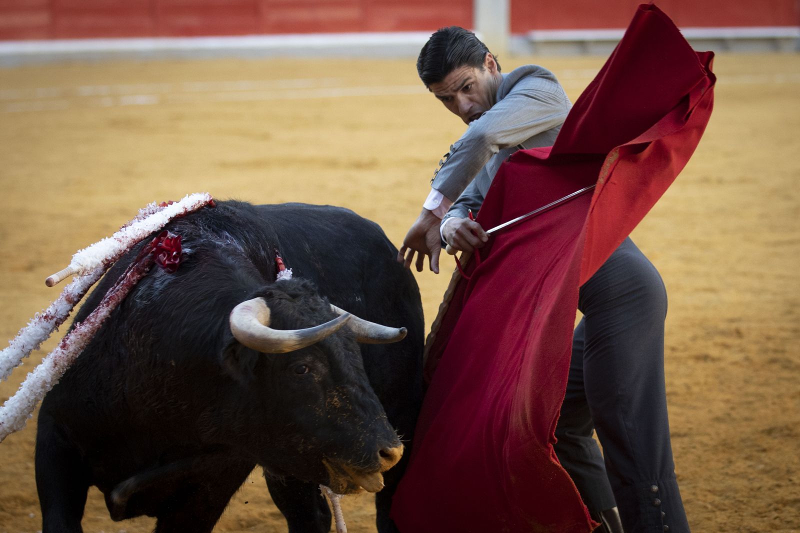 Las mejores imágenes del Festival Taurino en beneficio de Granadadown
