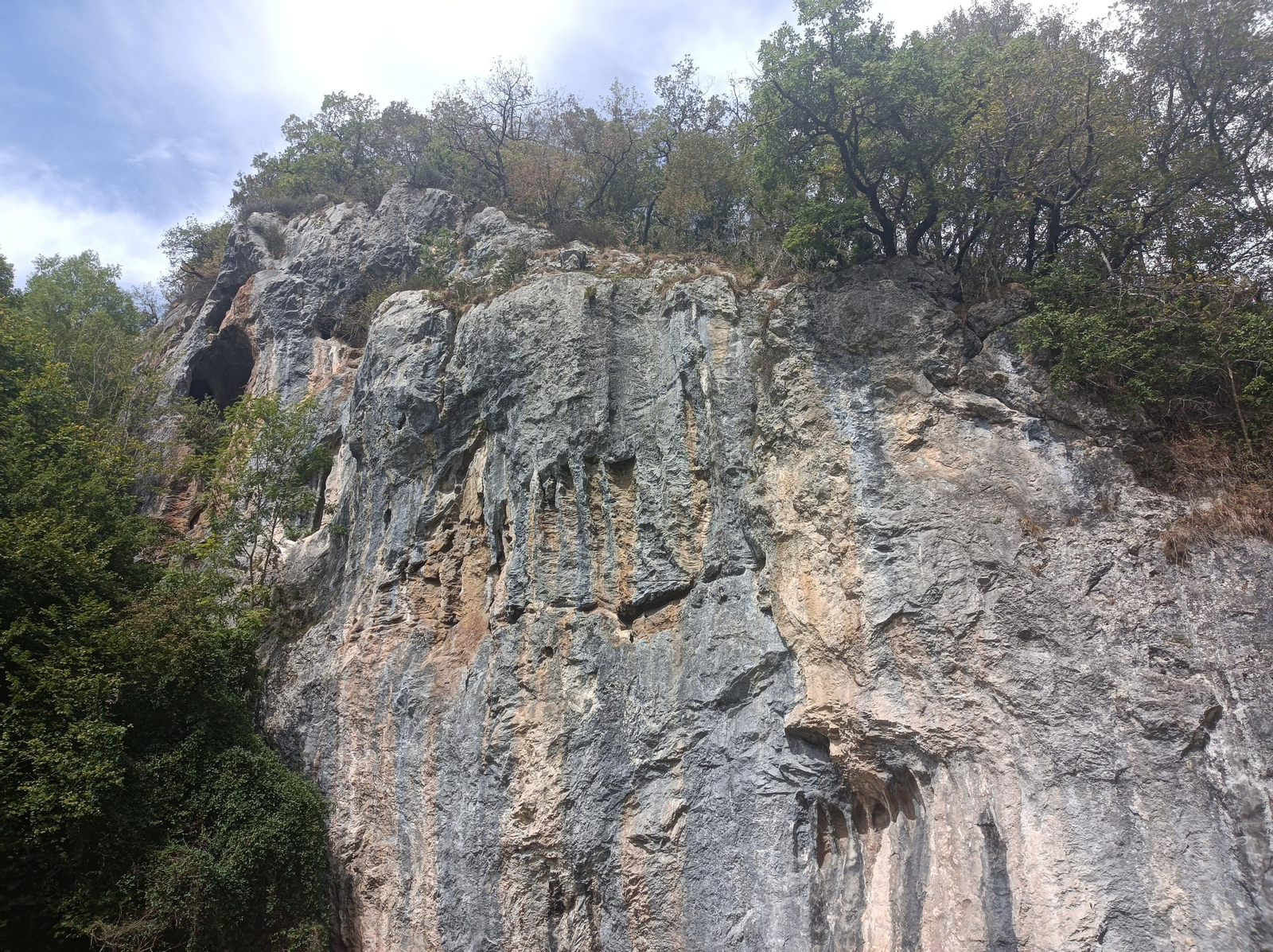 Buitreras antes de llegar al final de la etapa.