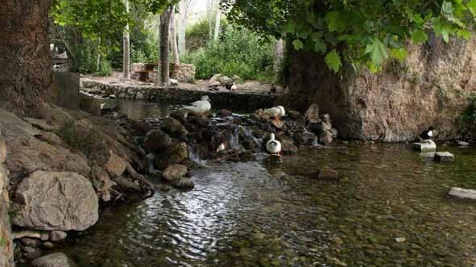 Manantial del Arroyo de Celín en Dalías Manantial del Arroyo de Celín en Dalías