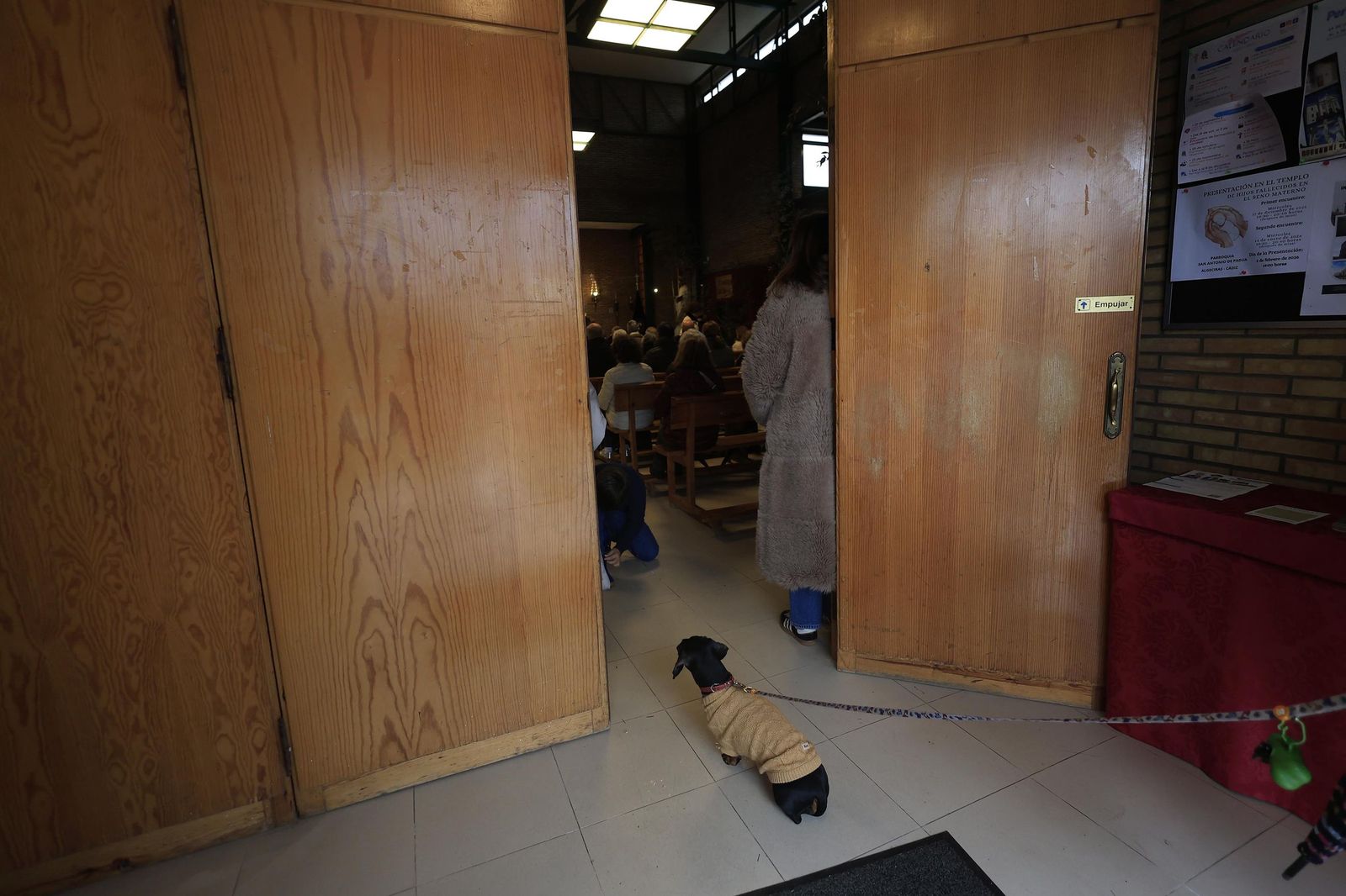 Las fotografías de la bendición de las mascotas por San Antón 2026