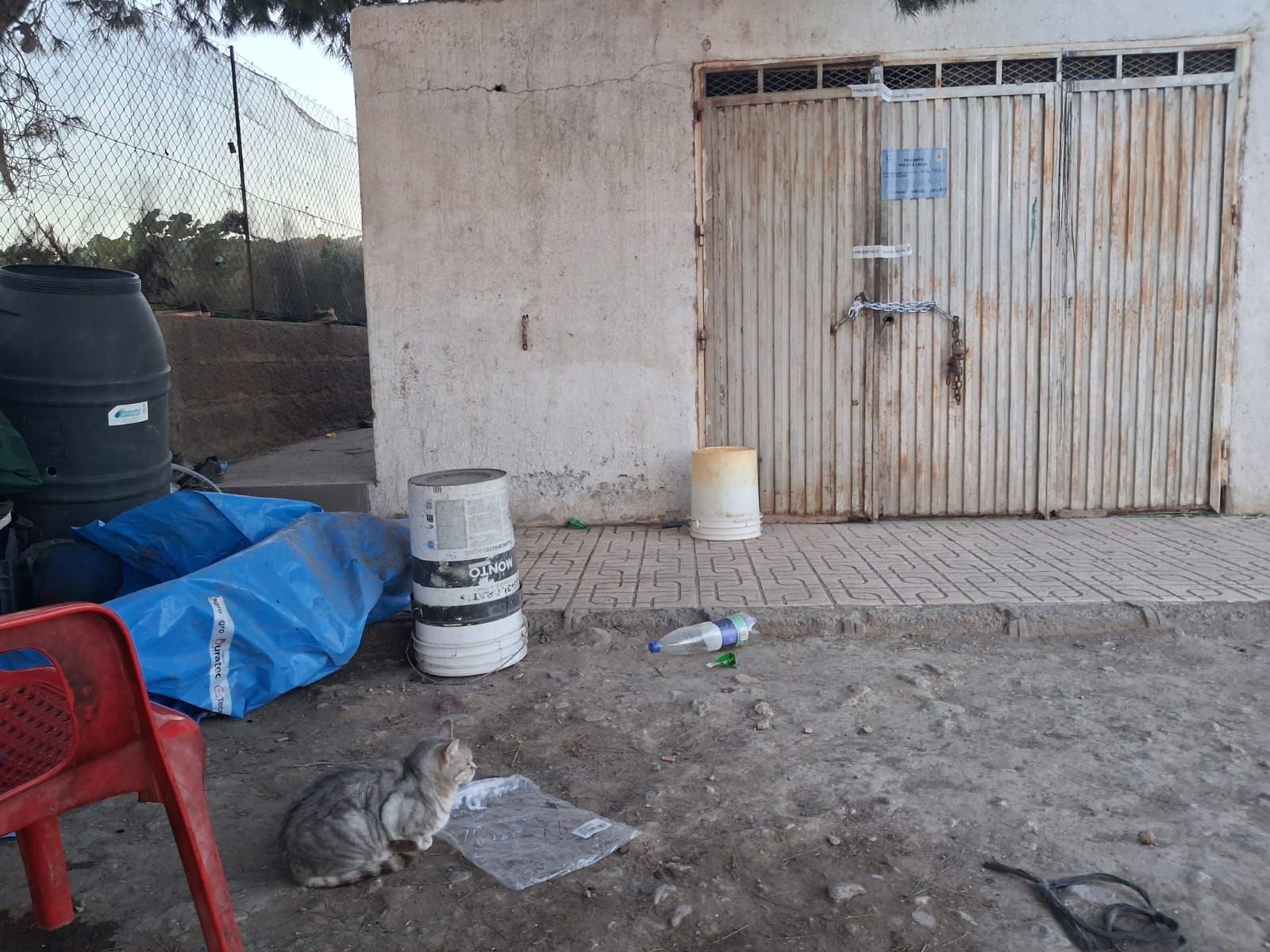 WhatsApp Image 2026-02-12 at 18.59.08 (1)