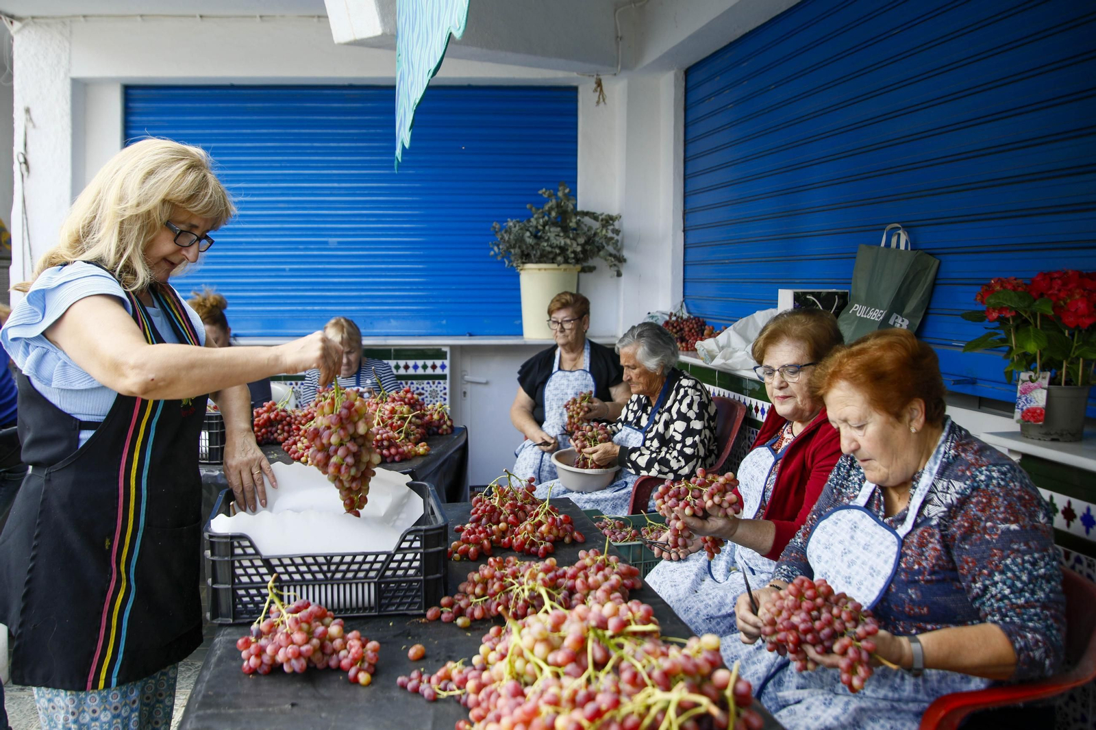 La tradicional faena de la uva de Canjayar, en imágenes