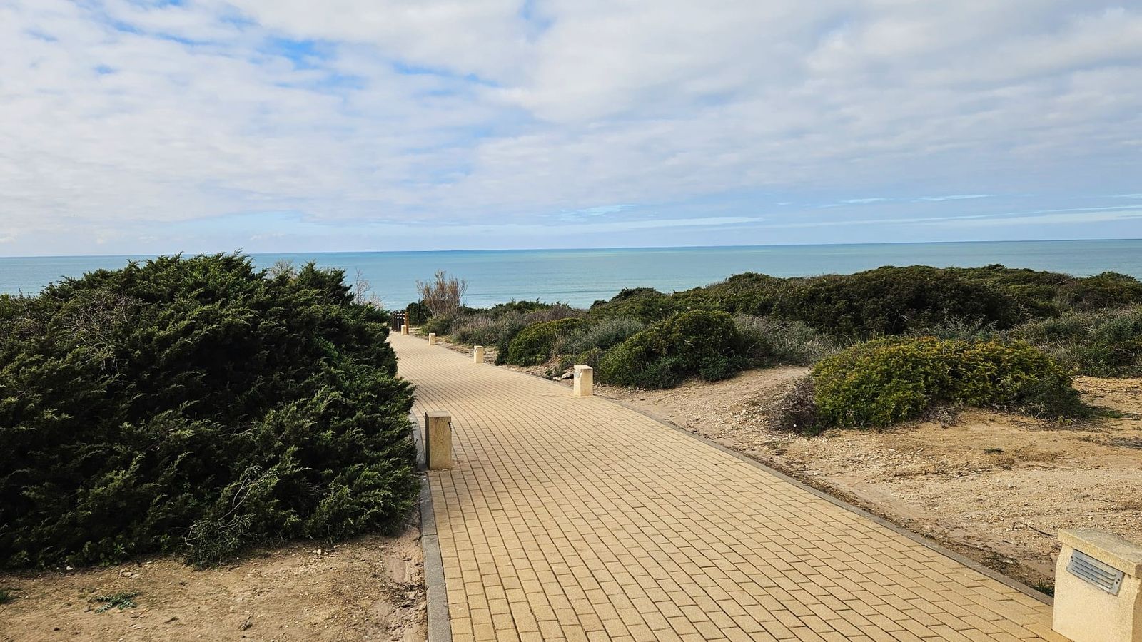 Desde este sendero podrás acceder a la playa de La Barrosa
