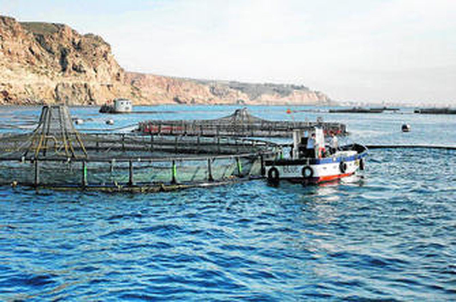 La acuicultura, una opción en alza