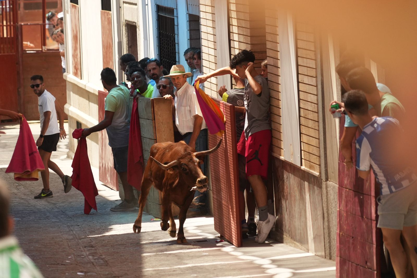 El encierro de vaquillas por Santa Ana El Viso, en imágenes