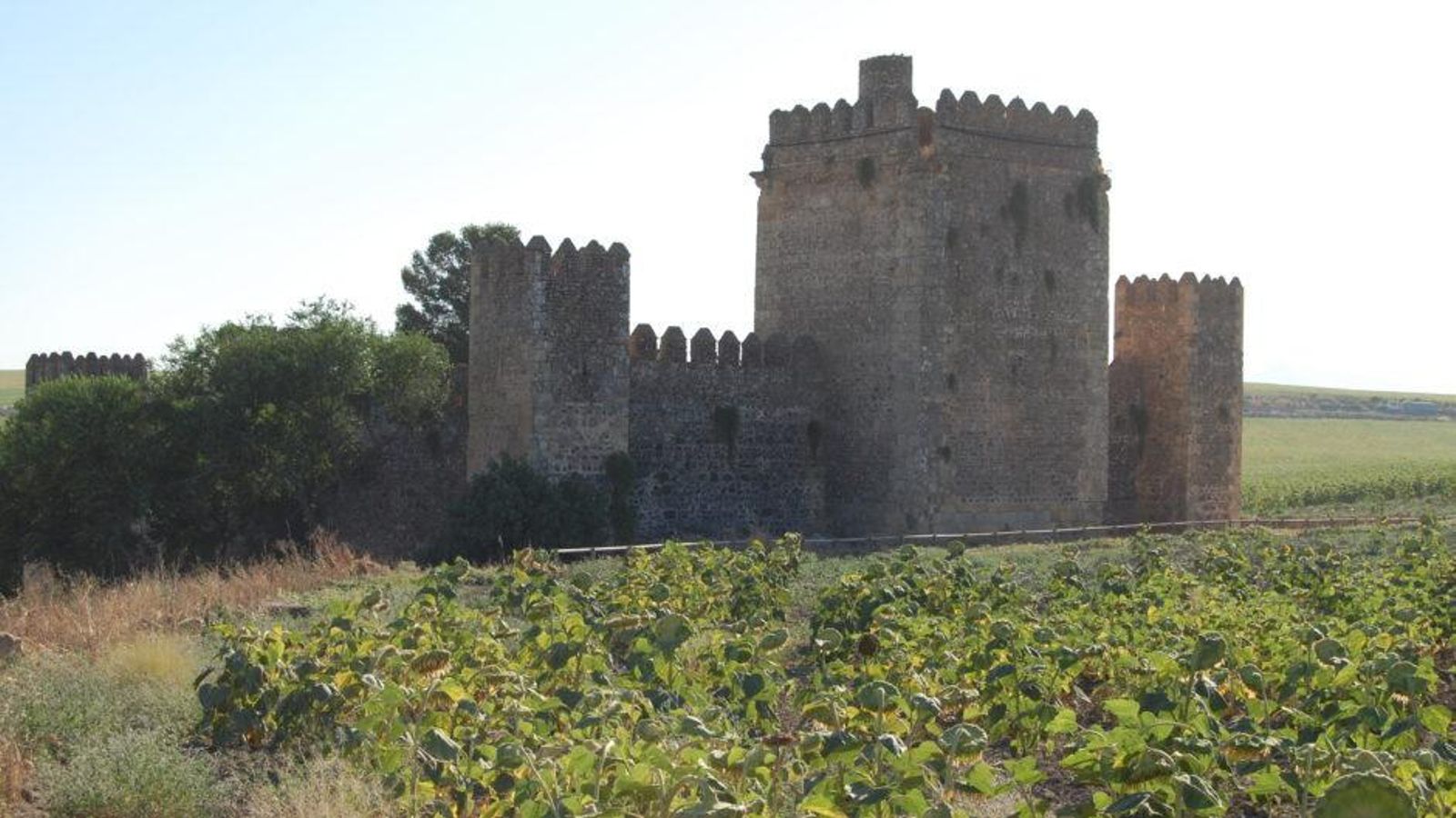 El Castillo de las Aguzaderas está situado cerca de la localidad de El Coronil, emplazado al fondo de una leve depresión del terreno.
