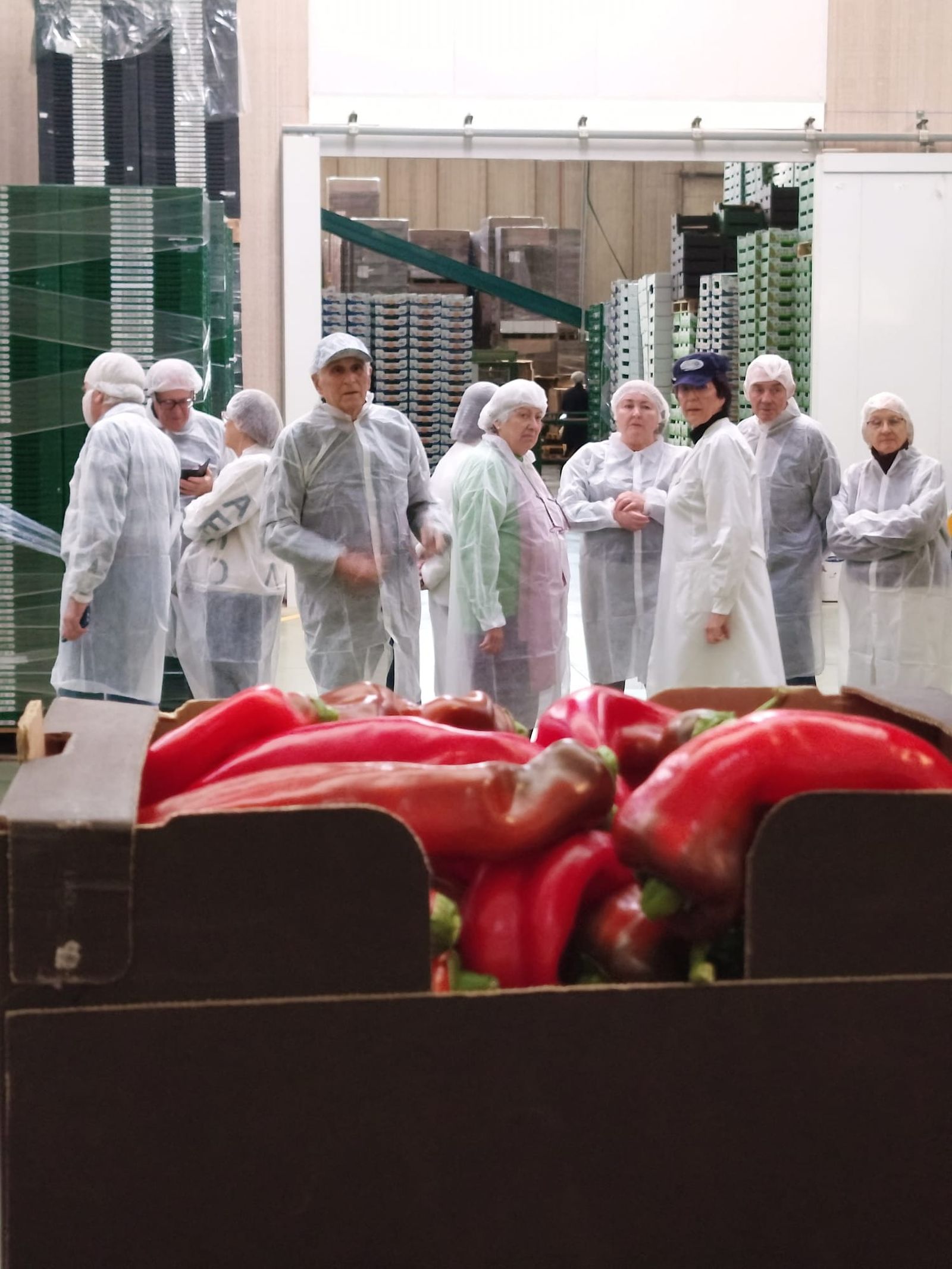 Eurosol abre sus puertas al conocimiento y al envejecimiento activo con 'Aula en Ruta'