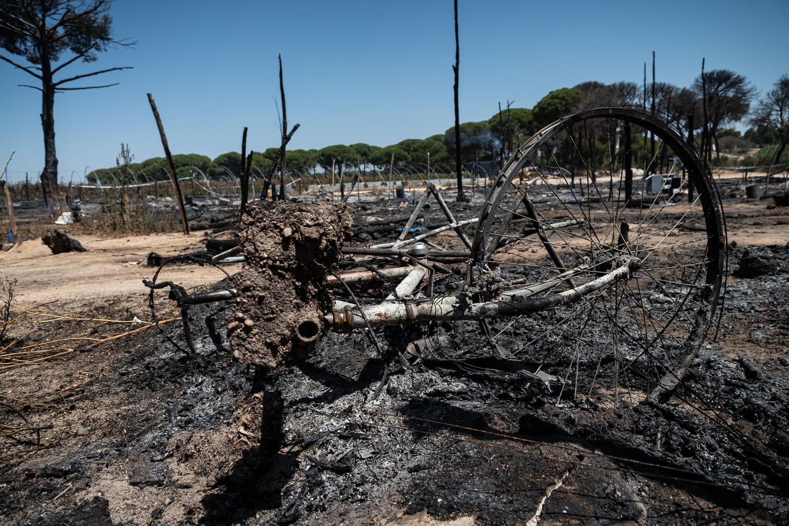 Imágenes del incendio del poblado chabolista de Lucena del Puerto