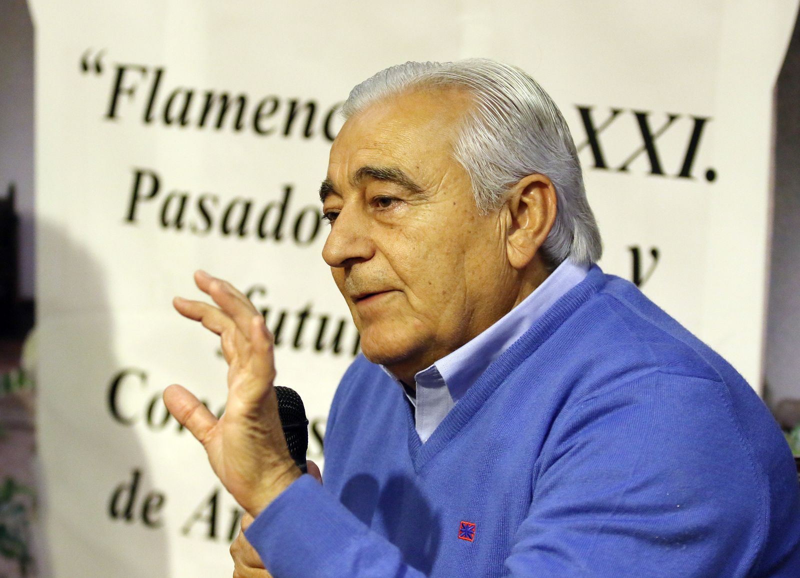 Diálogos en Viana de Flamencología